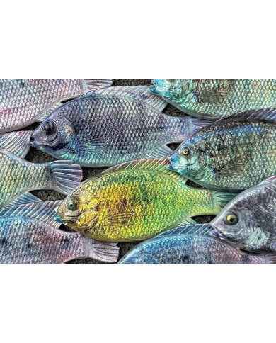Cull-em Pro Series Natural Kurper