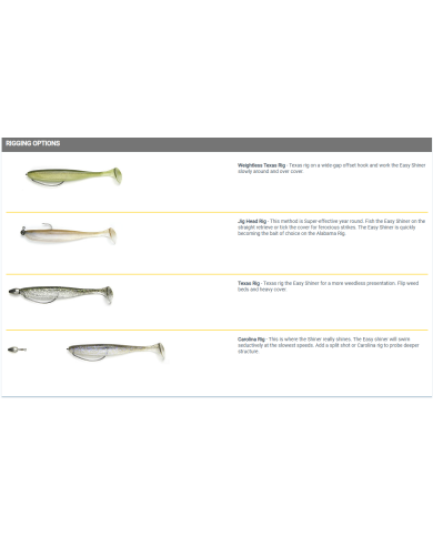 Keitech Easy Shiner 2in