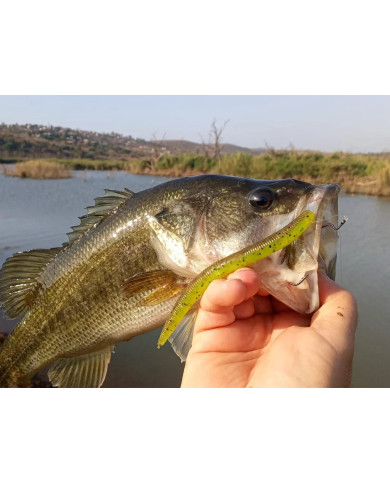 McArthy Baits Stumpi