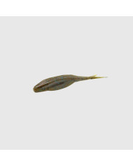 Zoom Super Fluke Jr (4") GREEN PUMPKIN BLUE