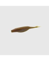 Zoom Super Fluke Jr Green Pumpkin Red 4in Zoom Super Fluke Jr Green Pumpkin Red 4in