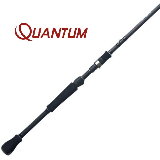 Quantum Spinning Rods