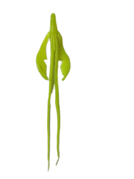 Itty's Secret Baits Sci-fi Craw 6.5in