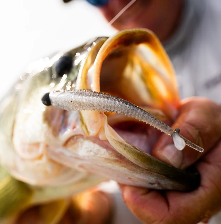 Rapala Crush City Mooch Minnow 3.5in