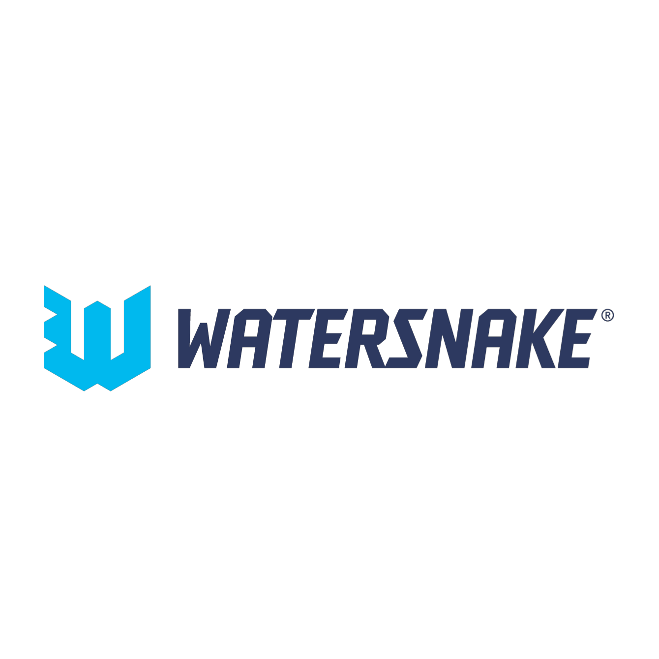 Watersnake Transom Mount Trolling Motors