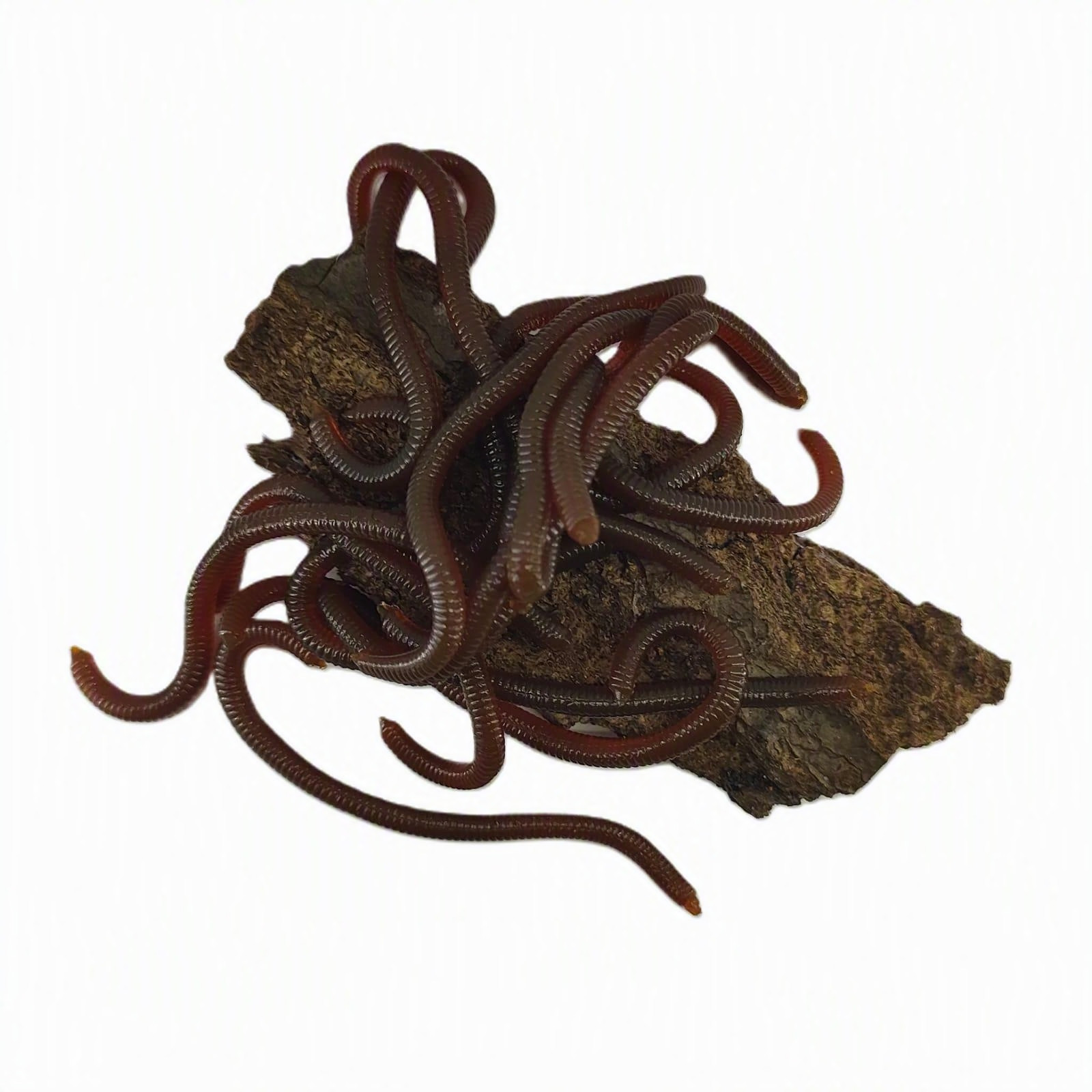 CMF Bass Earthworm