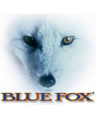 Blue Fox